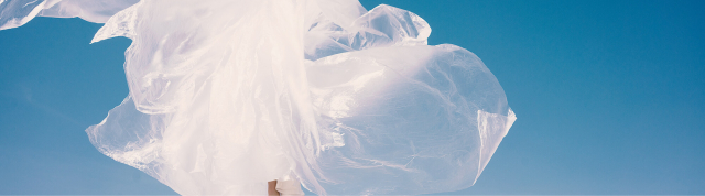 Recycled Polyester