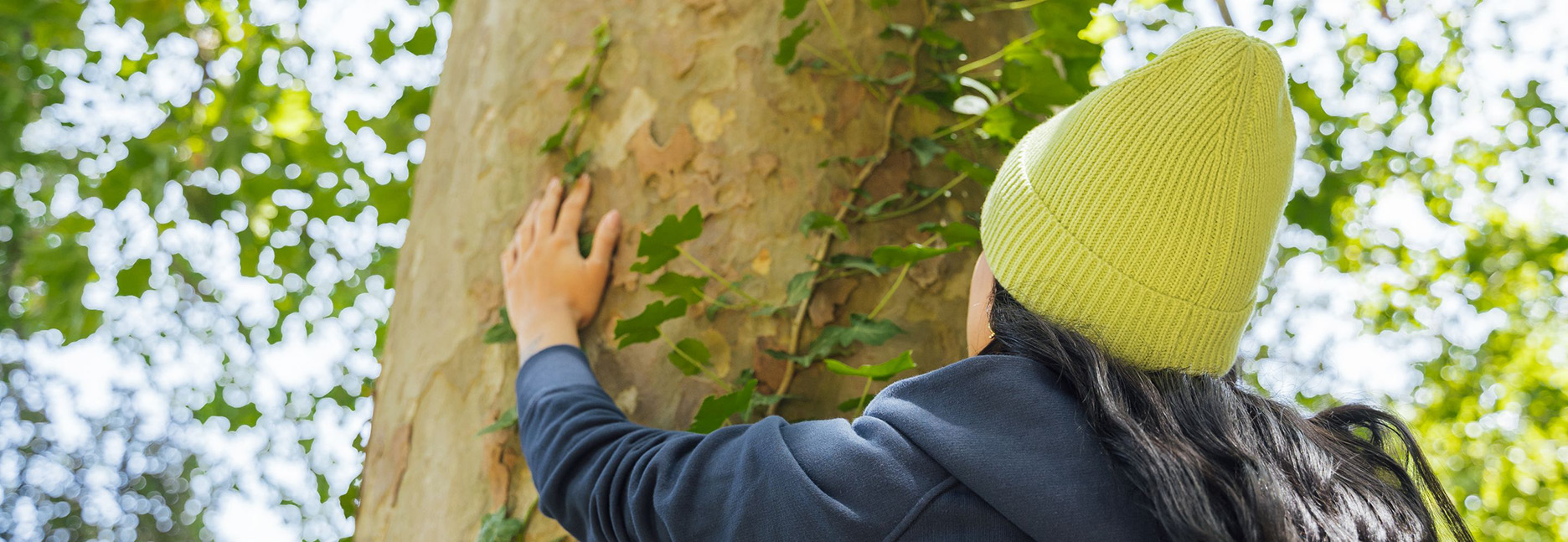 Ambiente & Emissioni