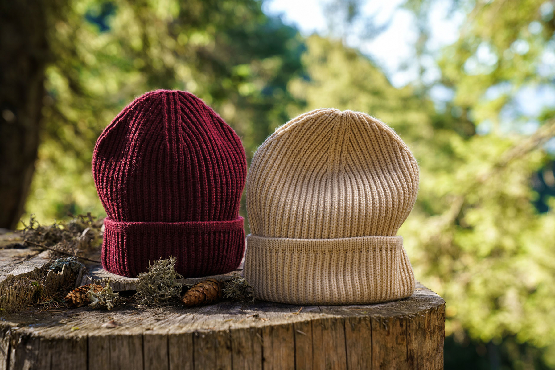 I traguardi del nostro impegno