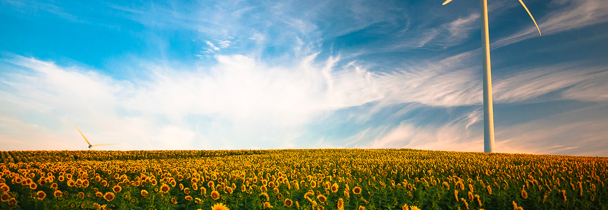 Science Based Target