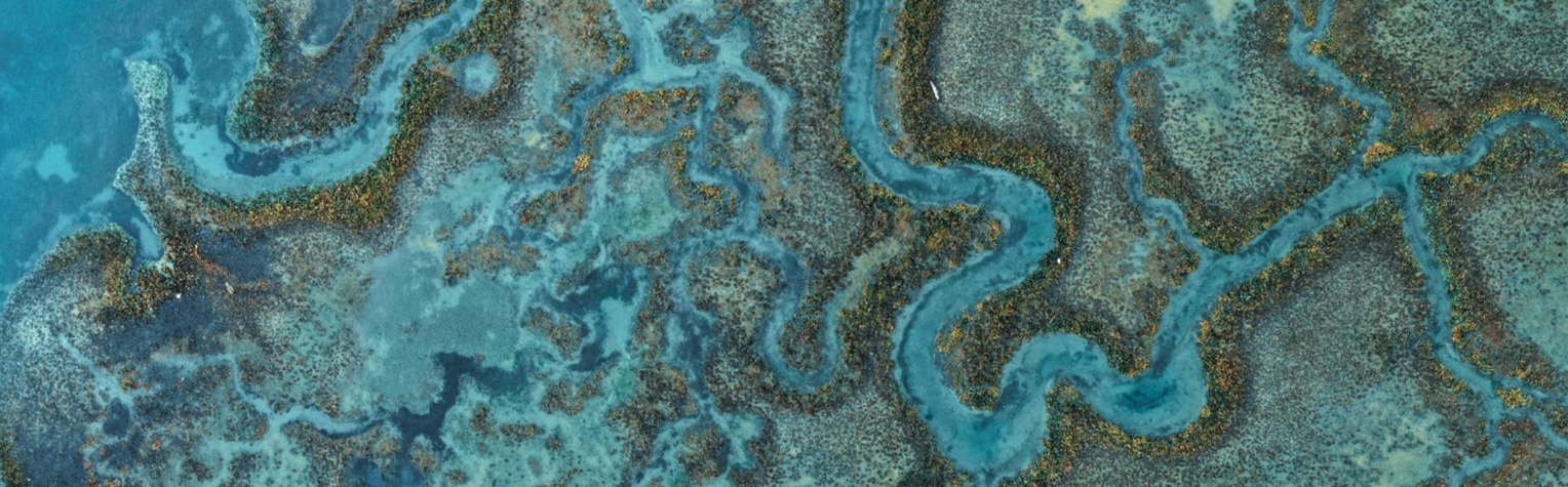 Atlantis Headwear x Sea the Change