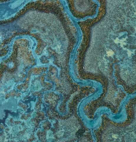 Atlantis Headwear x Sea the Change